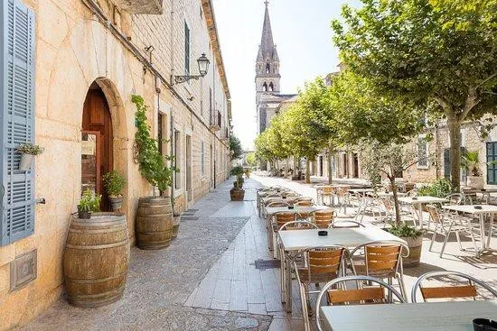 FINCA RÚSTICA EDIFICABLE EN BINISSALEM DE 27.490M2 CON EDIFI - foto 5