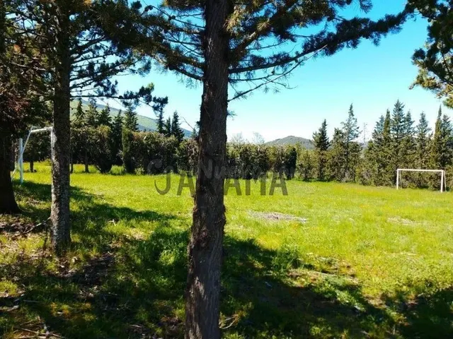 INCREIBLE FINCA DE 8.000 METROS EN EL MAJESTUOSO PARQUE NATU - foto 5