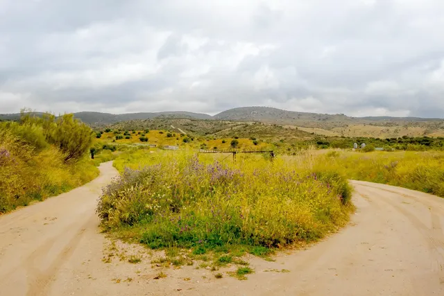 Monte 999999m² en venta - Encinar del Alberche - foto 4