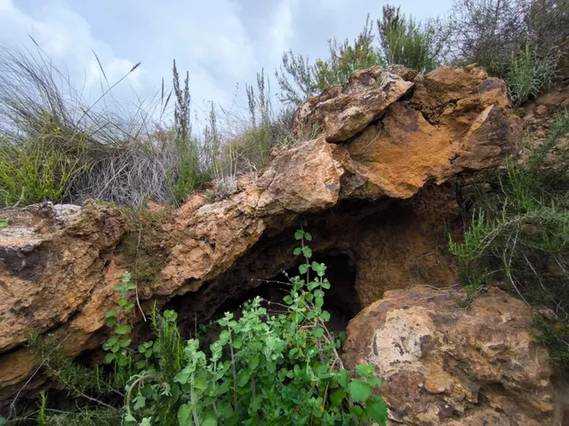 Refugio único con 3 viviendas, olivar y energía solar – Costa Cálida, Murcia — 32