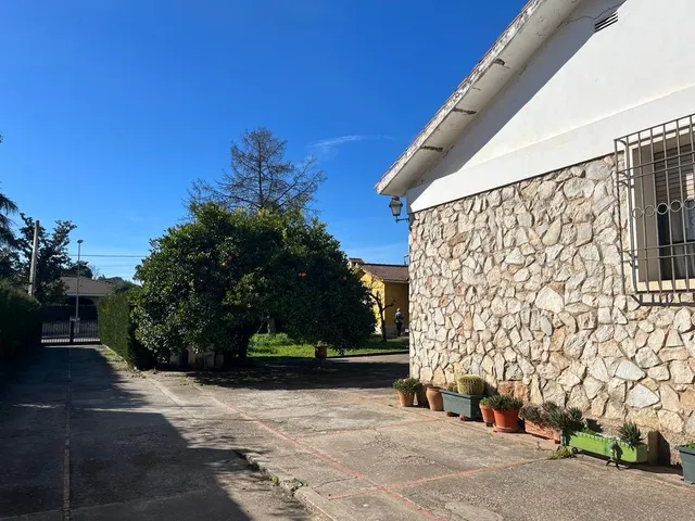 PARCELA DE 3000 M2 SEGREGABLE EN TRES CON DOS CHALETS — 21