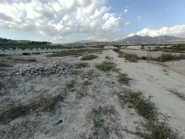 SE VENDE PARCELA EN MOLINA DE SEGURA - foto 4
