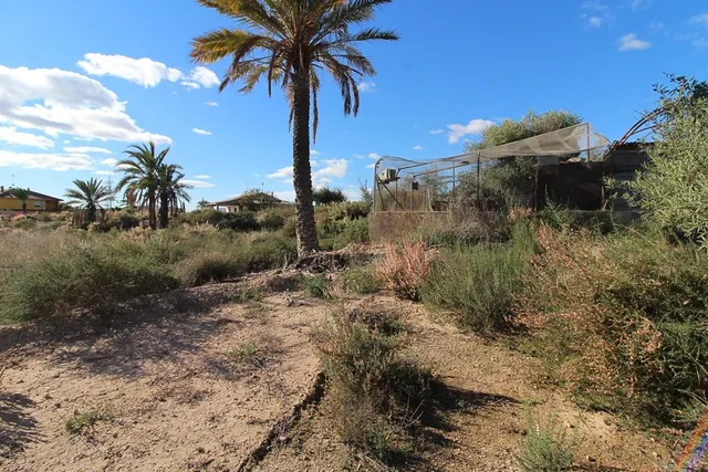 Parcela Urbanizable En Peña Las Aguilas, Buen Acceso y Buenas Vistas ¡INFORMATE! — 7