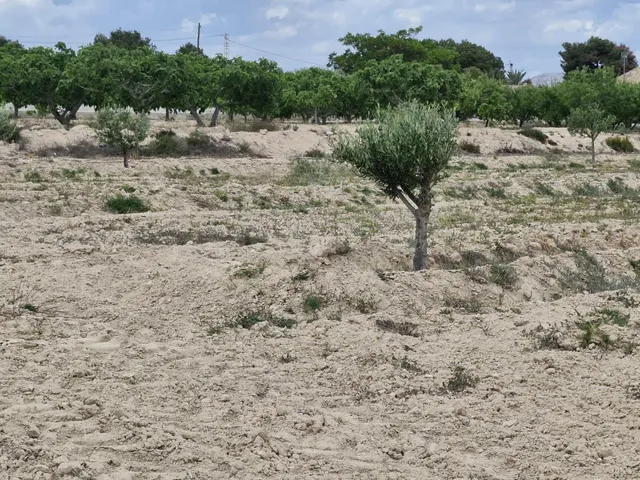 11000 m2 TERRENO RÚSTICO PARA CONSTRUIR - foto 2