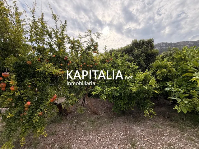Casa de pueblo con jardin privado en Benialfaqui — 10