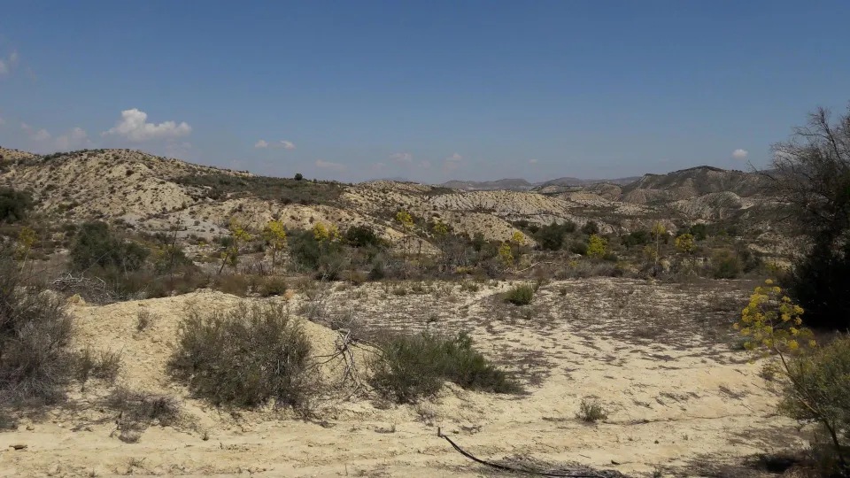 TERRENO RÚSTICO en Los Roques MURCIA