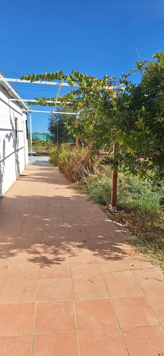 Finca Rustica En Gibraleon — 20