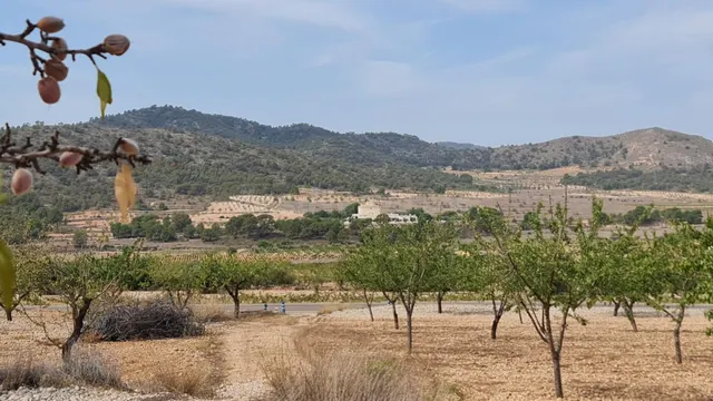 Parcela de 7.558 m2 en venta en Algueña, Comunidad Valencian
