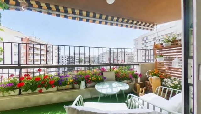 El Privilegio de Vivir en el Corazón Noble de Sevilla