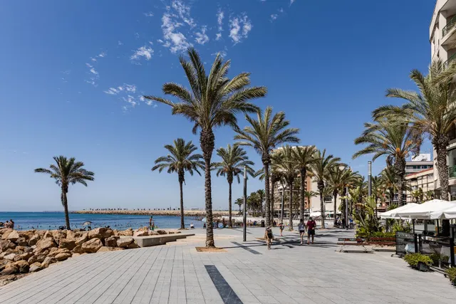 BAR / RESTAURANTE EN VENTA EN TORREVIEJA, ZONA PLAYA DEL CURA — 29