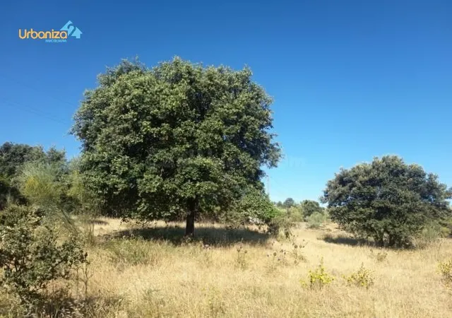PARCELA RÚSTICA DE 2.400 M2. - foto 3