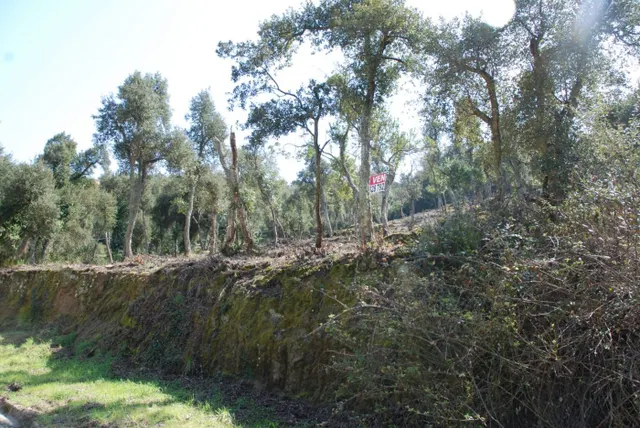 Parcela situada en Vall Repòs Santa Cristina d'Aro - foto 3