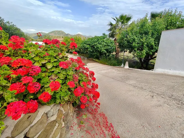 FINCA RÚSTICA DE ENSUEÑO CON PISCINA, BARBACOA Y VISTAS PANO