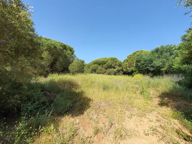 Parcela en venta - Sotogrande - Alto — 7