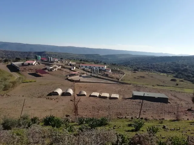 Finca de explotación ganadera en activo con 80 hectáreas en  - foto 2