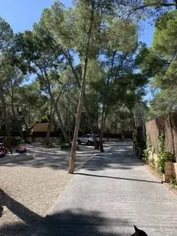 Villa de estilo mallorquín con amplio jardín de pinos en Cala Vinyes — 29