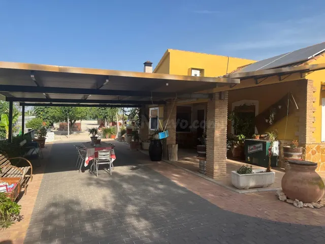 CAMPO DE FORTUNA 616652603 — 4