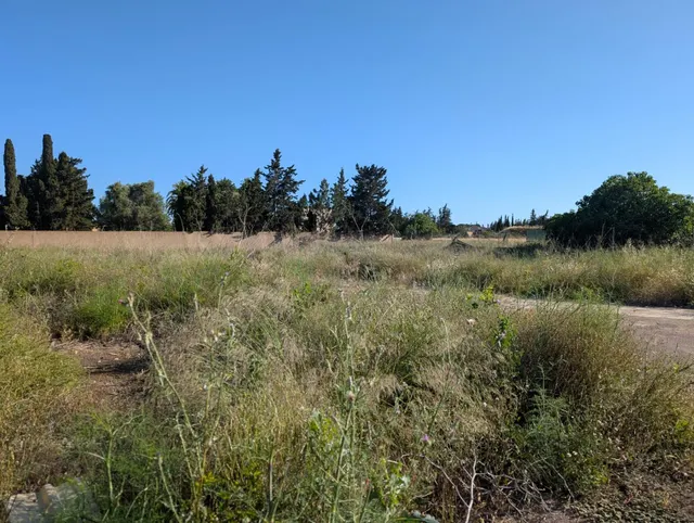 ¡Parcela en Venta de 1218 m2 en Los Camachos! — 9