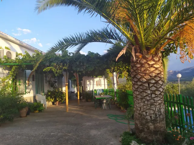 CORTIJO CON GRAN PRODUCCIÓN ACEITUNERA EN 5,5 Ha. — 2