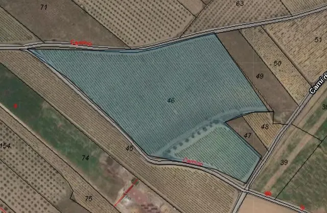 Terreno en venta en Monóvar Comunidad Valenciana — 12