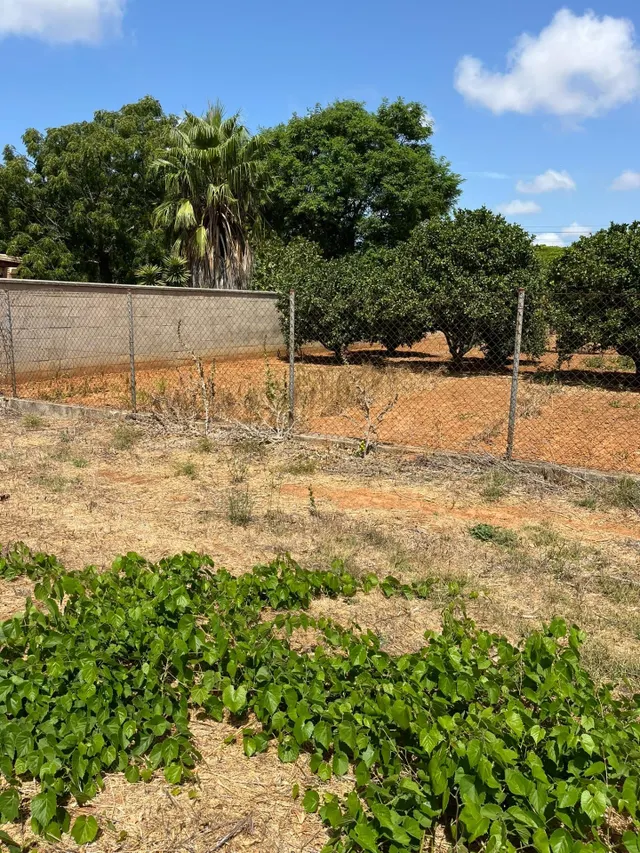PARCELA SEGREGADA RUSTICA PAGO MARAVILLAS