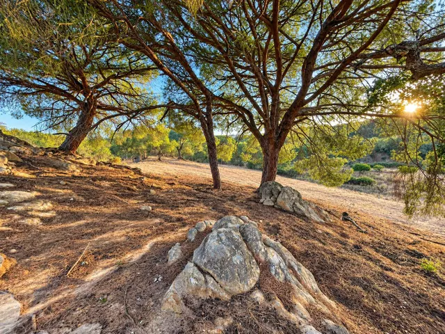 Finca rústica de 18.444 m2 con pozo y construcción catastrada en Alcalá de los Gazule — 46