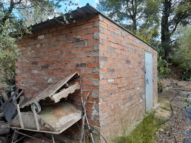 OPORTUNIDAD FINCA RUSTICA DE REGADIO CON CASA DE CAMPO EQUIPADA EN ASCO — 11