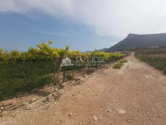 SE VENDE FINCA RUSTICA EN ASPE ZONA ALCANA CERCA DEL PEÑON - foto 3