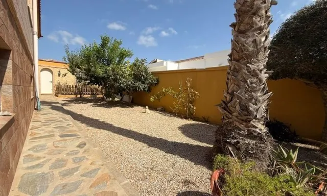 Villa 5 habitaciones 440m² en venta - Pinar de Campoverde — 14