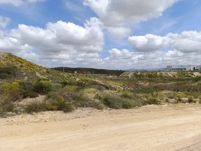 Terreno urbanizable de uso industrial en el Polígono Cabezo  - foto 3