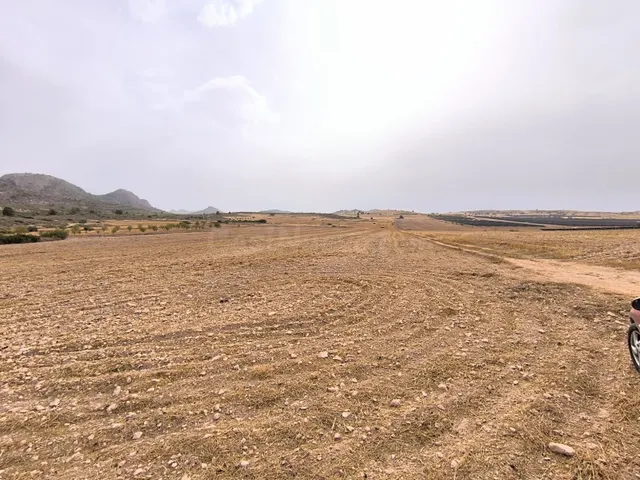 Parcela en venta - Ayuntamiento - foto 3