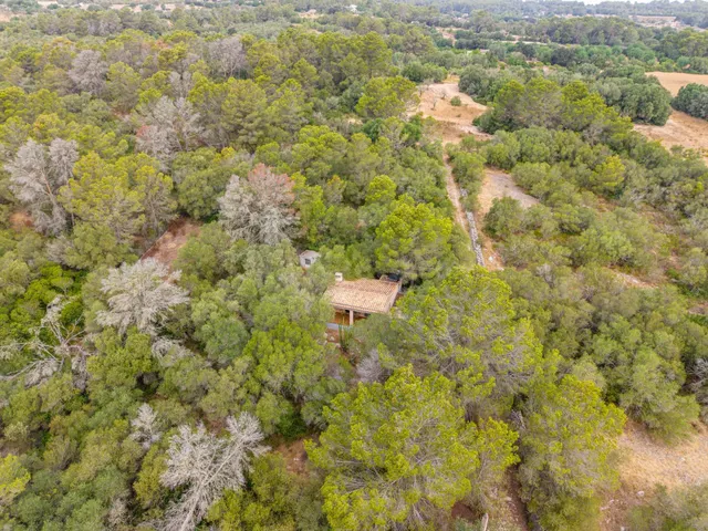 Encanto rústico en plena naturaleza, a solo 5 minutos de Es Cruce – Petra, Mallorca — 2