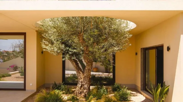 Villa 4 habitaciones 350m² en venta - La marina — 29
