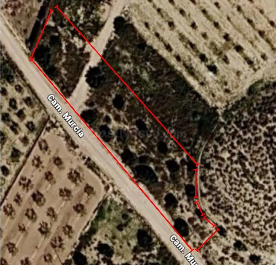 Solar urbano de 503 m2 con 2.510 m2 de olivar en Tobarra