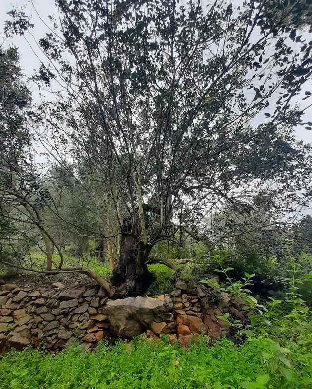 Terreno en venta en zona Galeretes — 8