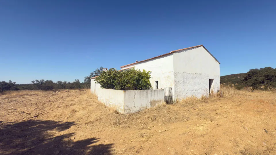 FINCA DE ENCINAR EN EL CERRO DEL ANDÉVALO