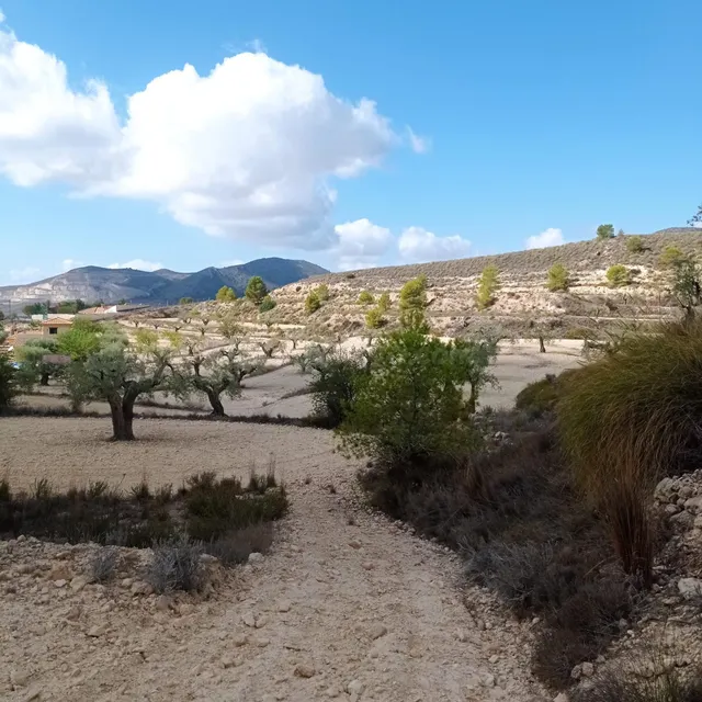 Encantadora Finca Rústica en Hondon de las Nieves con Vistas - foto 4