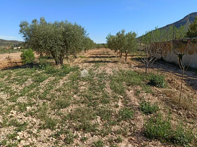 Se vende casa de campo con terreno — 4
