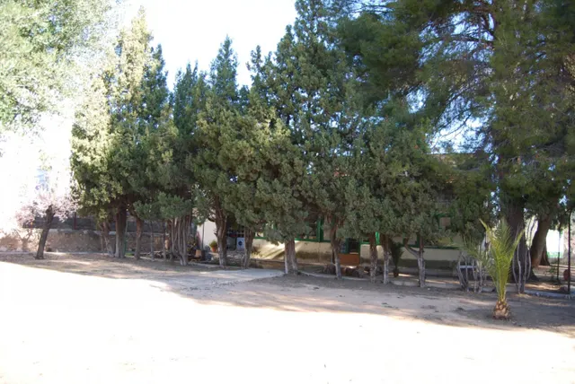 CHALET EN VENTA CON AMPLIA PARCELA EN LA POBLACION DE NAVAJAS — 12