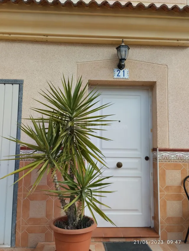 VENTA DE CASA ADOSADA EN BUJALANCE (CÓRDOBA) - foto 3