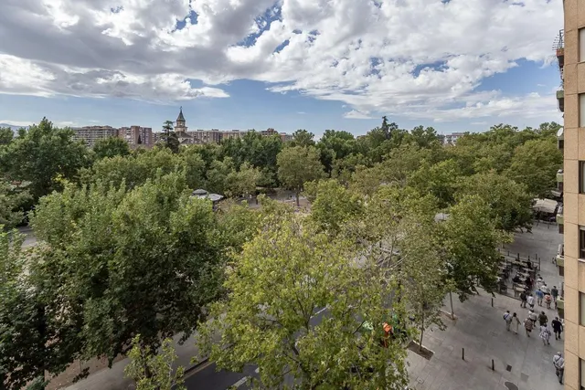 PISAZO EN PASEO DEL SALÓN - GRANADA - foto 4