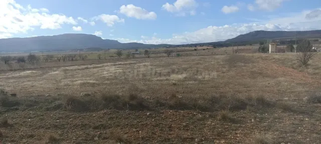 TERRENO EN CASAS DE MADRONA - foto 4