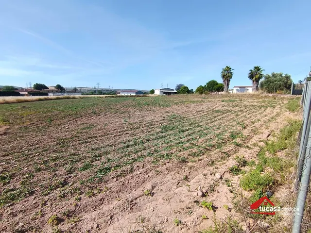 Terreno rural en Casillas (Carretera del Aeropuerto) con múl - foto 3