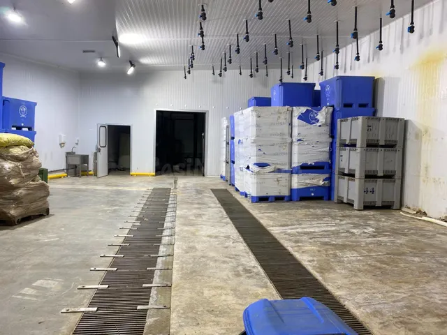 Nave con cámara frio en Venta en Albal, 1000 m.