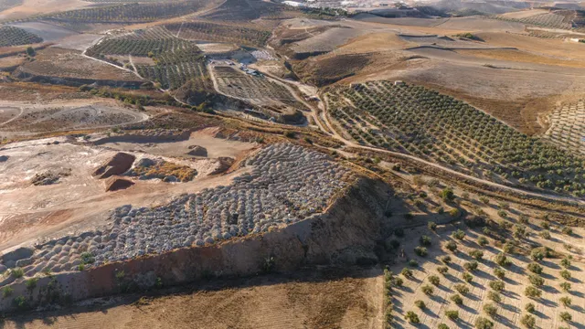 Amplio Terreno Rural en Avda Suspiro del Moro, Otura — 17
