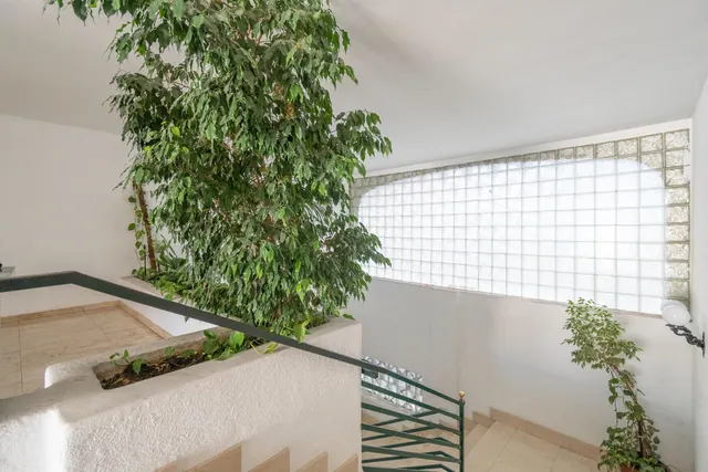 Piso luminoso con 4 habitaciones y 2 baños — 30