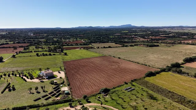 Finca rústica en Manacor con proyecto de ejecución — 18