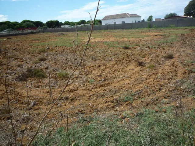 Terreno en el Pinar de la Villa cercano a la Ermita Virgen d - foto 2