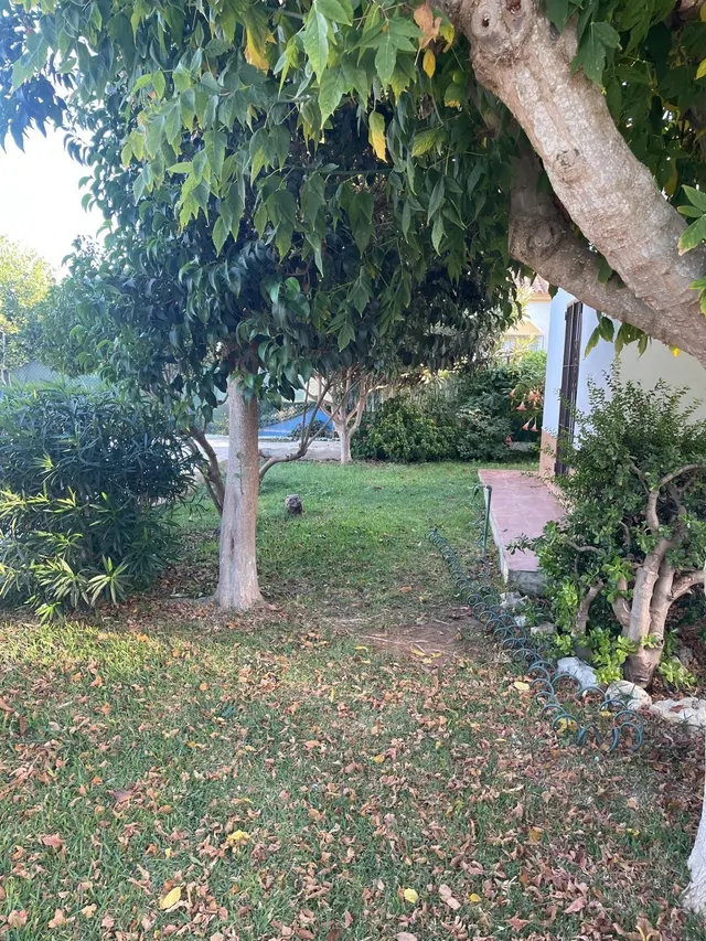 VENTA DE CHALET SEGREGADO EN LA DEHESILLA — 43