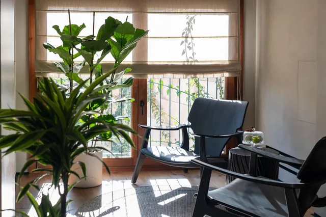 EXCELENTE CASA SEÑORIAL EN LA VILLA DE SINEU — 29